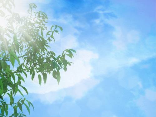 希望 潜在意識