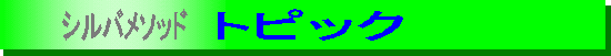 ���݈ӎ��@���Ȍ[���@�V���o���\�b�h�̃g�s�b�N