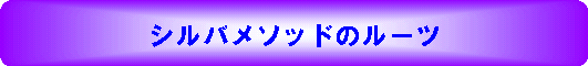 ���݈ӎ��@���Ȍ[���@�V���o���\�b�h�̃��[�c